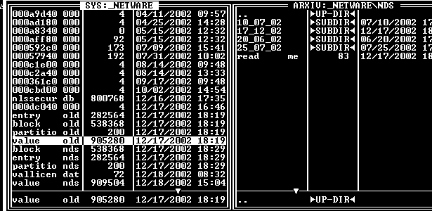 Вид каталога _NETWARE из утилиты CC.NLM для версии Novell NetWare 4.11
