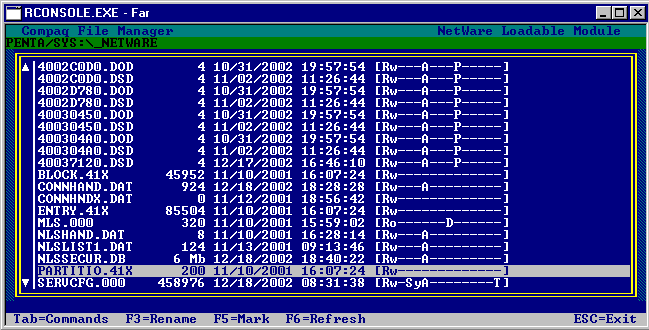 Вид каталога _NETWARE для версии Novell NetWare 5.1 из утилиты CPQFM.NLM