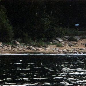 A031